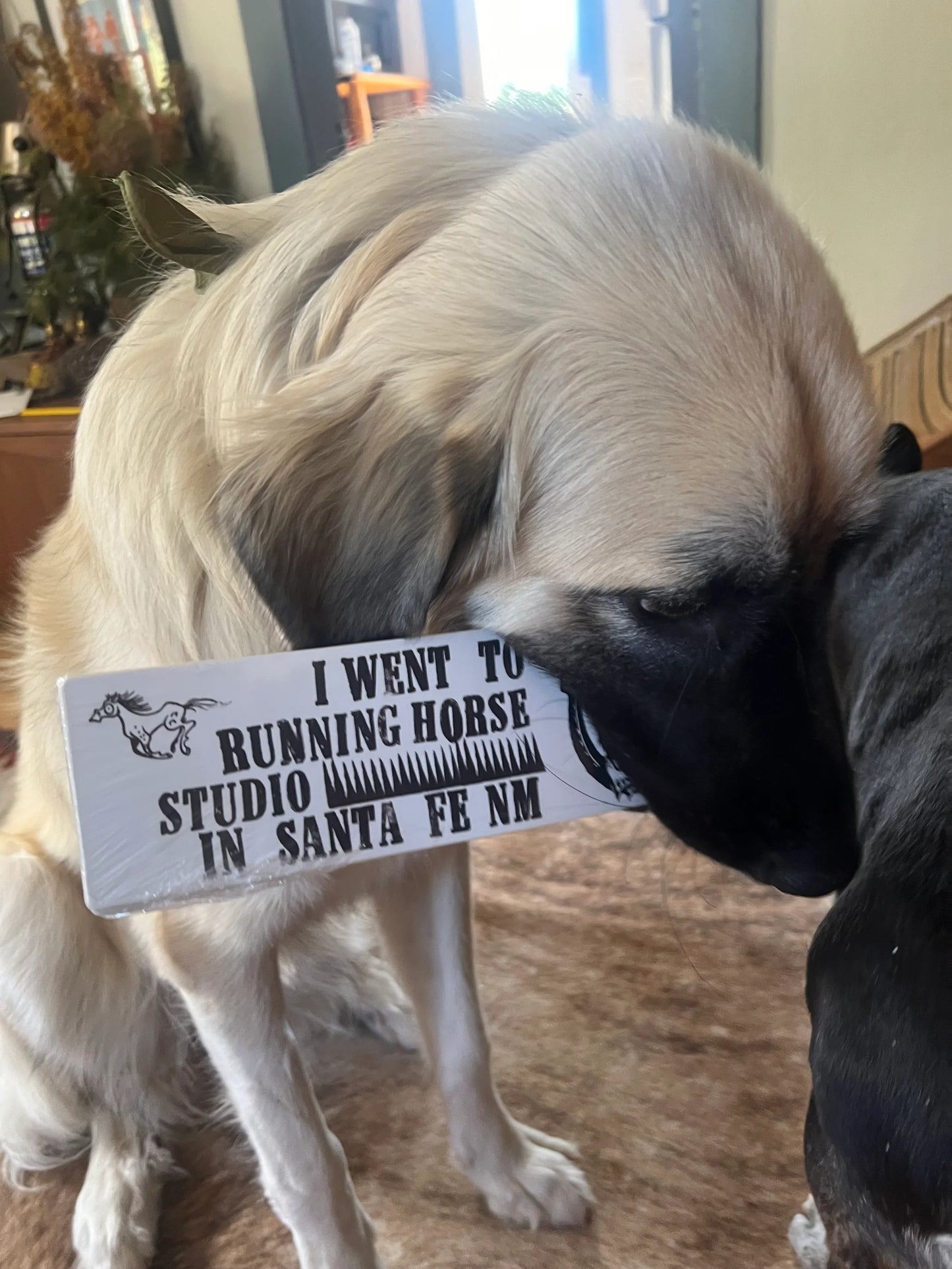 I Pet BONE bumper sticker