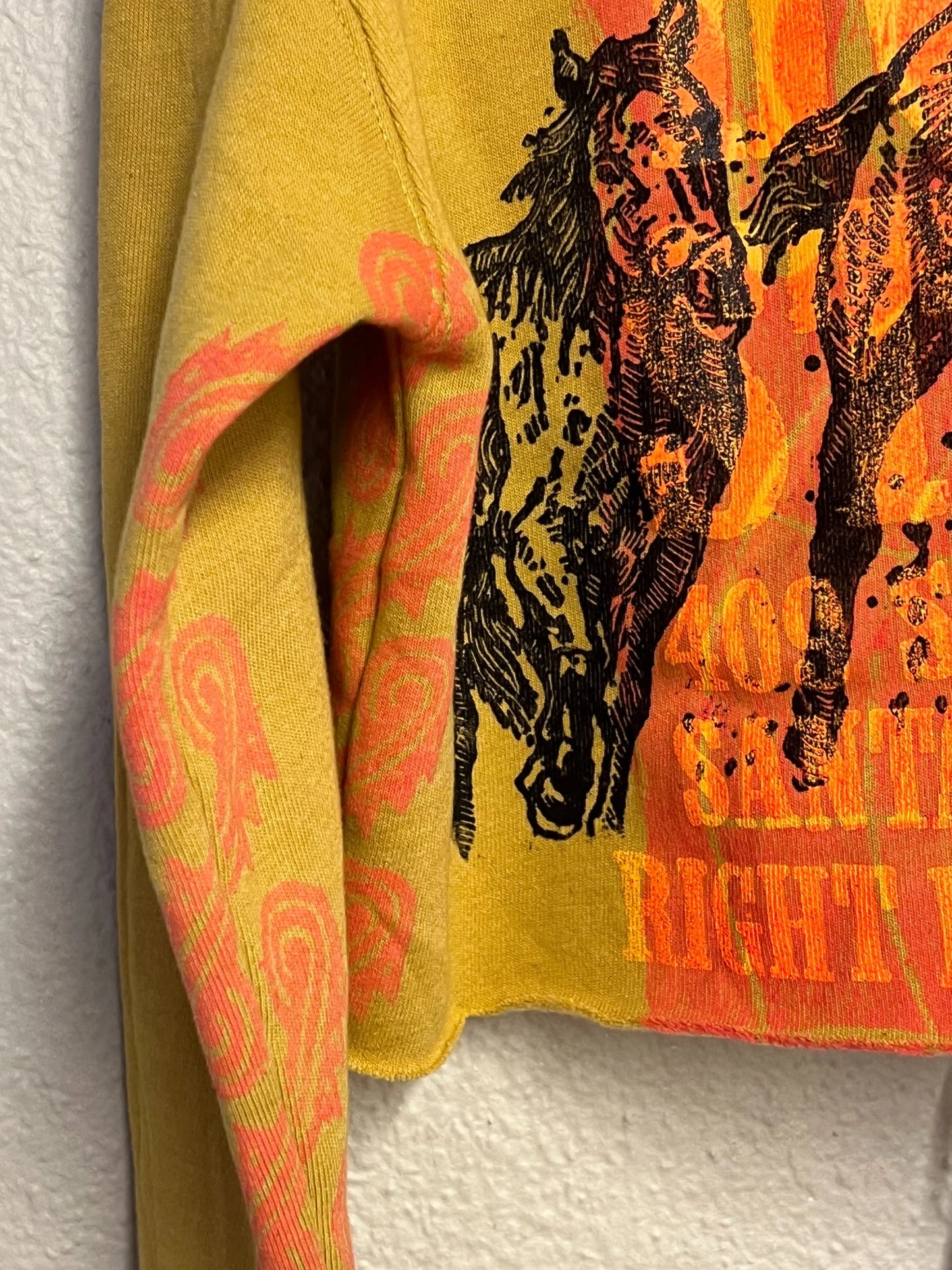 Flame Horse Cropped Fleece Pullover