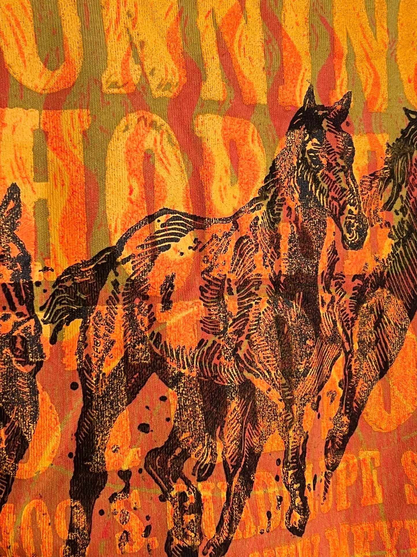 Flame Horse Cropped Fleece Pullover