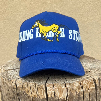 RHS 004 Blue.2 Trucker